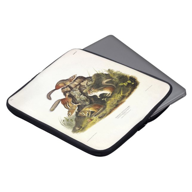 Chipping Squirrel ( Eastern Chipmunk ) von Audubon Laptopschutzhülle (Vorne Oben)