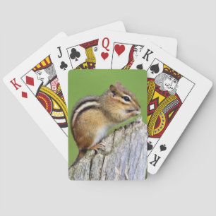 Chippy Chipmucnk Spielkarten