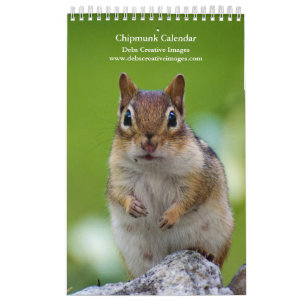 Chipsätze 2026 kalender