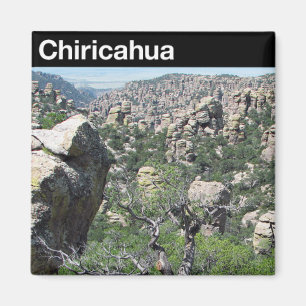 Chiricahua nationales Monument Magnet