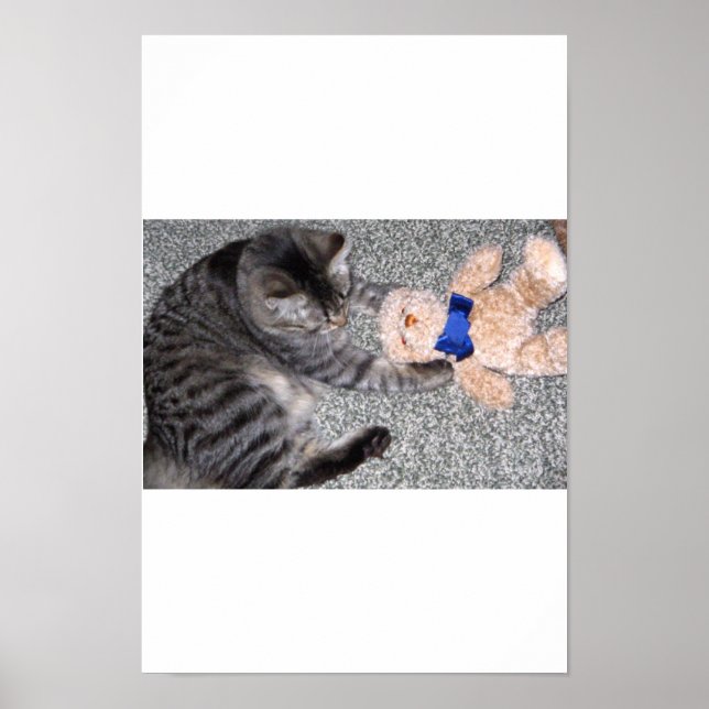 "Chiro-Cat" Poster (Vorne)