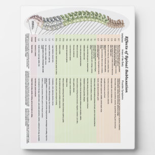 Chiropractic Effects of Spinal Subluxation Easel Fotoplatte