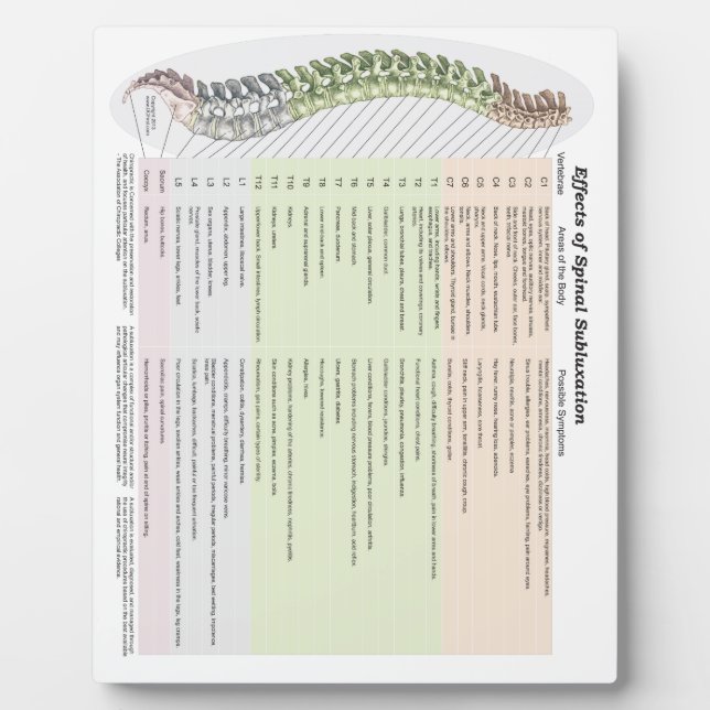 Chiropractic Effects of Spinal Subluxation Easel Fotoplatte (Vorderseite)