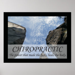 Chiropractic Heals the Body Quotes Sayings Poster