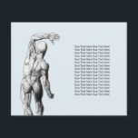 Chiropractor Massage Therapy Chiropractic Anatomy Flyer<br><div class="desc">Chiropractic Chiropractor Massage Spa Therapist Anatomy Flyers.</div>