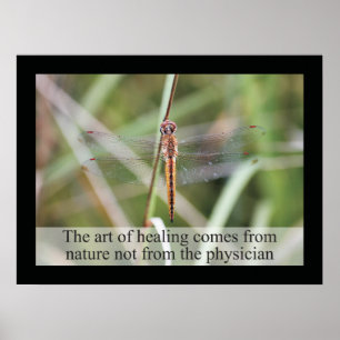 Chiropraktik-Zitat-und Poster