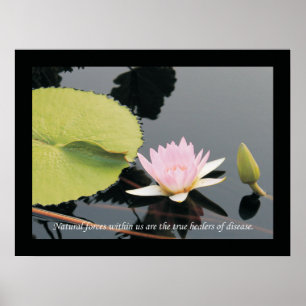 Chiropraktik-Zitat-und Poster