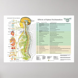 Chiropraktiksubluxations-spinale Nerven Poster