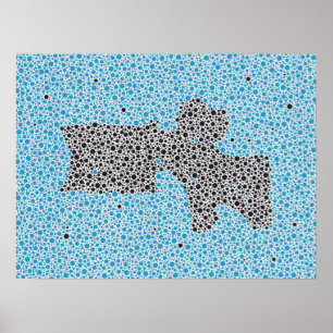 Chiropraktische Anatomie Artwork Lumbar Vertebrae Poster