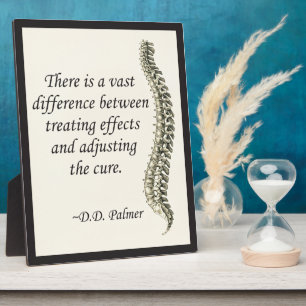 Chiropraktische Anpassung der Kur Fotoplatte