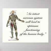 Chiropraktische Gesundheitstipps und Redewendungen