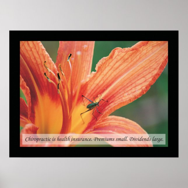 Chiropraktische Zitate und Redewendungen Gesundhei Poster (Vorne)