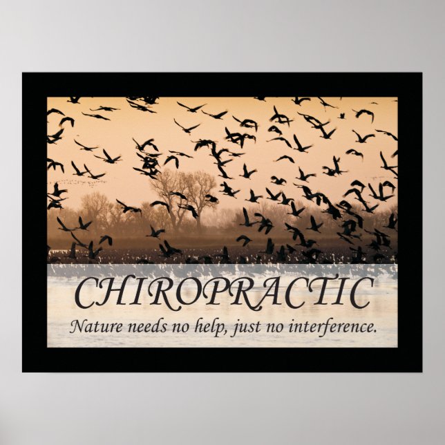 Chiropraktische Zitate und Redewendungen Natur Poster (Vorne)