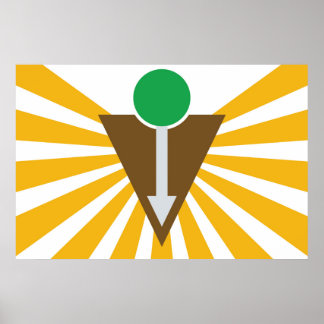 Chiropraktisches Flag-Poster Poster