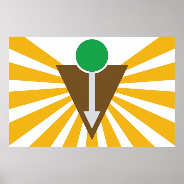 Chiropraktisches Flag-Poster Poster (Vorne)