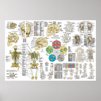 Chiropraktisches Osteopath-Poster für die angewand Poster