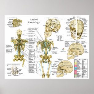 Chiropraktisches Poster für die angewandte Kinesio