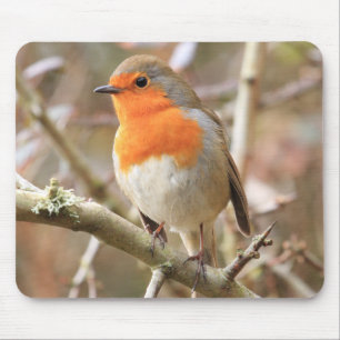 Chirpy Robin Mousepad