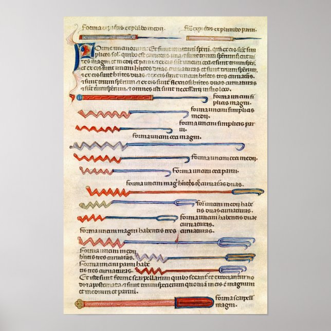 Chirurgische Instrumente aus einer Abhandlung Poster (Vorne)