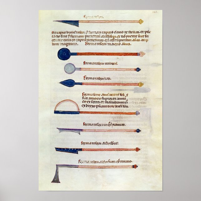 Chirurgische Instrumente aus einer Abhandlung Poster (Vorne)