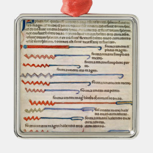Chirurgische Instrumente von einer Abhandlung Silbernes Ornament