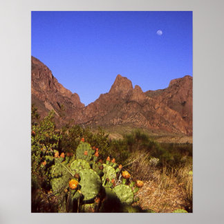 Chisos Moonrise Poster