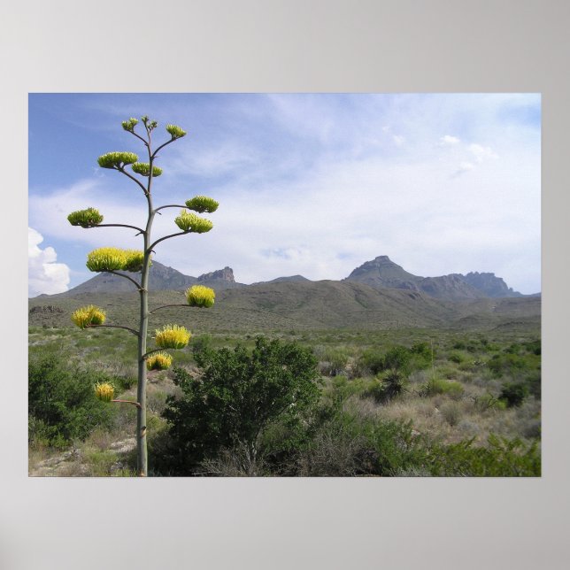 Chisos Mountains - Big Bend, Texas Poster (Vorne)