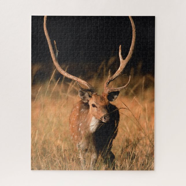 Chital Natural Habitat | Bandhavgar National Park Puzzle (Vertikal)