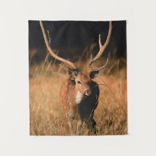 Chital Natural Habitat   Bandhavgar National Park Wandteppich