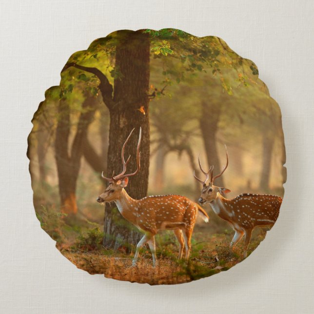 Chital oder cheetal, Achsachse, gepunktete Hirsche Rundes Kissen (Vorderseite)