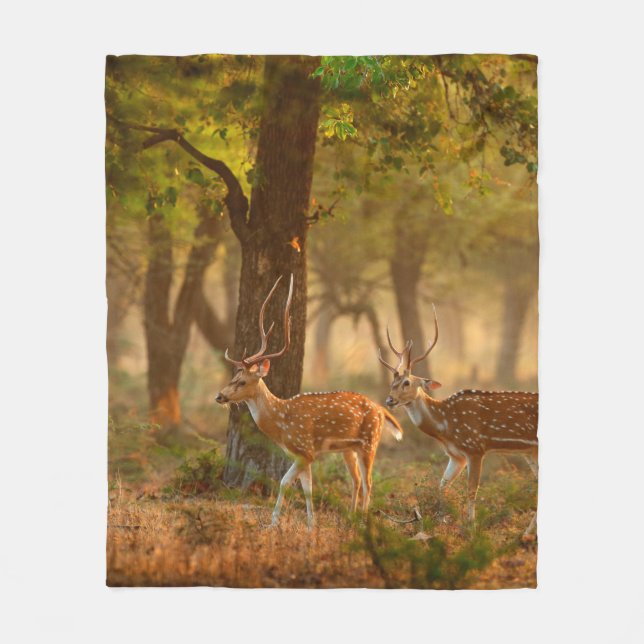 Chital oder Cheetal, Axis axis, gefleckte Hirsche  Fleecedecke (Vorderseite)