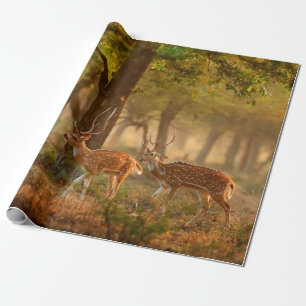 Chital oder Cheetal, Axis axis, gefleckte Hirsche Geschenkpapier