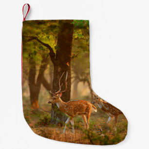 Chital or cheetal, Axis axis, spotted deers or axi Kleiner Weihnachtsstrumpf