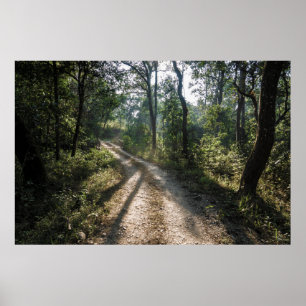 Chitwan Jungle Path: Sonnenbeleuchteter Waldweg Poster