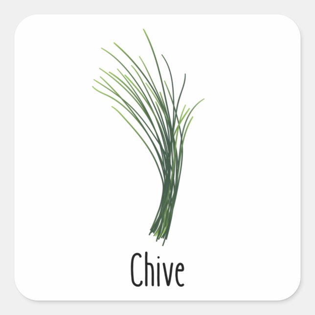 Chives Geices Herbs Quadratischer Aufkleber (Vorderseite)