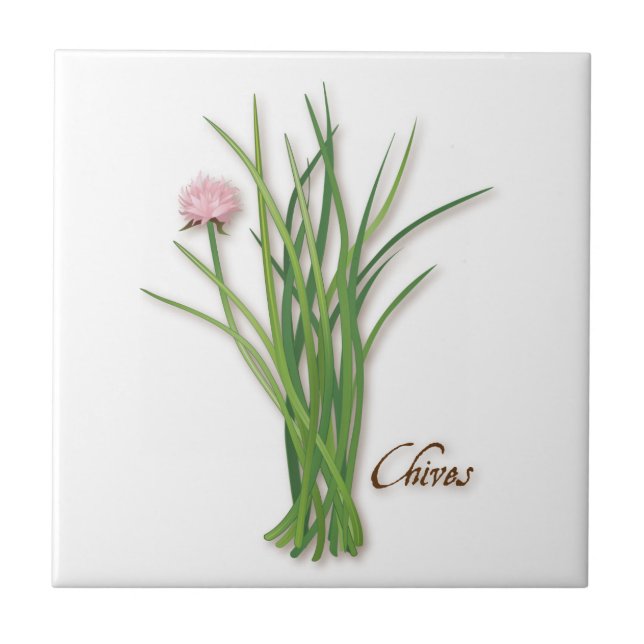 Chives Herb Keramik Tile Fliese (Vorderseite)