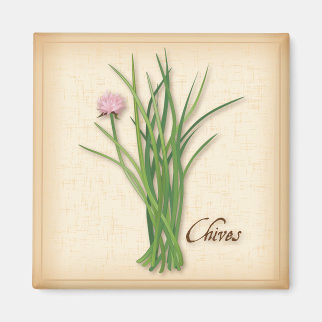 Chives Herb Magnet (Vorne)