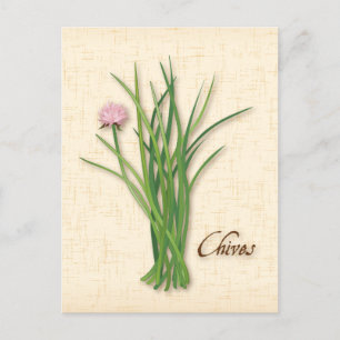 Chives Herb Postcard anpassen Postkarte