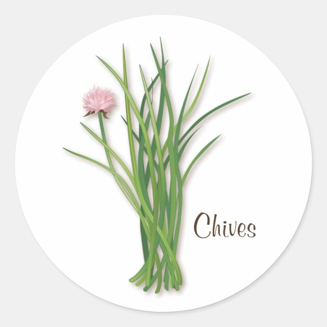Chives Round Sticker (Vorderseite)