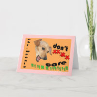 Chiweenie interessieren sich nicht, dass Sie Karte