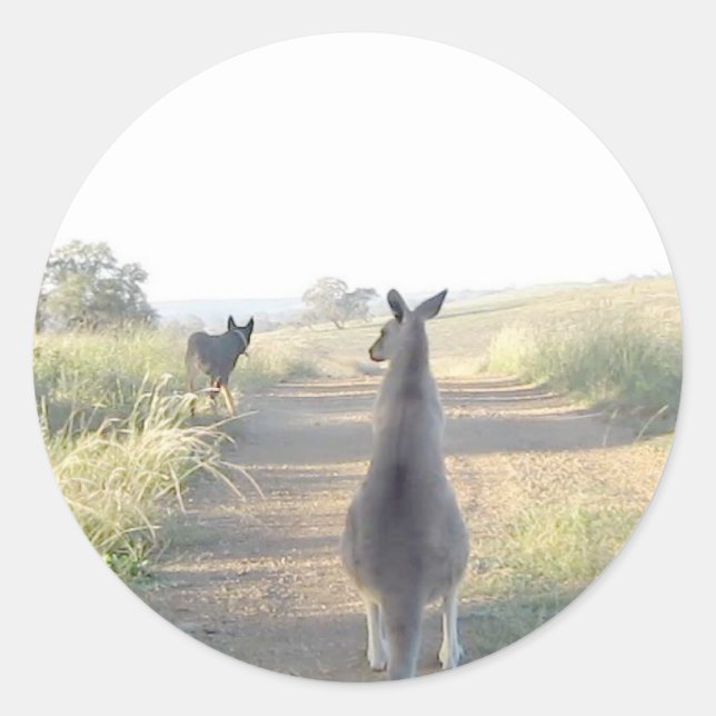 Chloe den Känguru Sam den Schafhund Runder Aufkleber (Vorderseite)