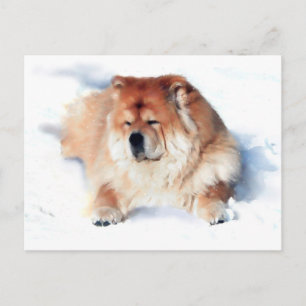 CHLOE LAYING IN THE SNOW ErARTdog Postkarte