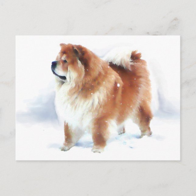 CHLOE STEHT IM SCHNEE ErARTdog Postkarte (Vorderseite)
