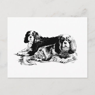 Chloe und Ollie Postkarte