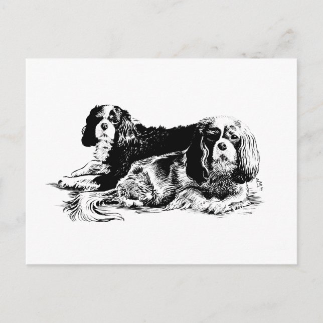 Chloe und Ollie Postkarte (Vorderseite)