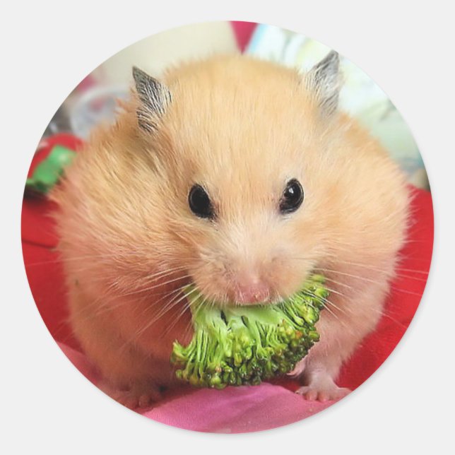 Chmurka und Brokkoli Runder Aufkleber (Vorderseite)