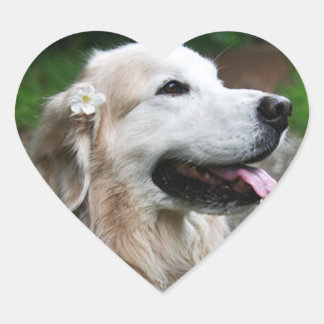 CHO CHO-Heftpapier für Aufkleber