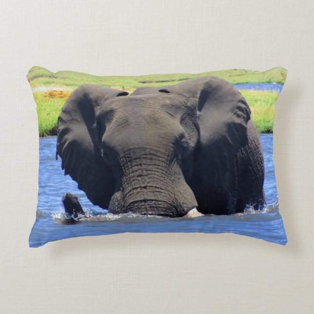 Chobe Elephant Throw Kissen (Vorderseite)
