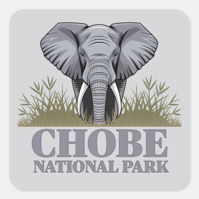 Chobe National Park Botswana Quadratischer Aufkleber (Vorderseite)