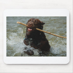 Chocloate Labrador Mousepad